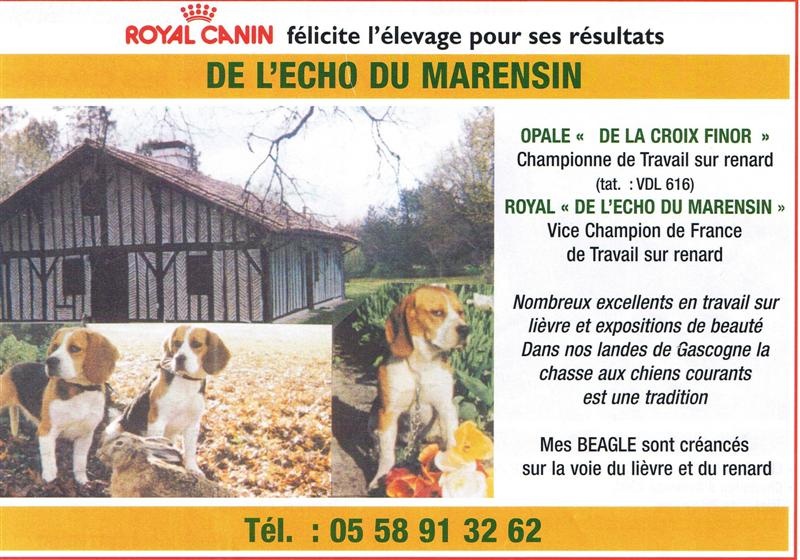 RESULTATS BREVETS De TRAVAIL SUR RENARD ET LIEVRE