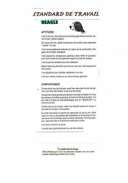 STANDARD DE TRAVAIL